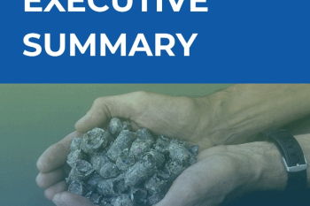 Executive Summary: Assessment and Policy Direction for Energy-Based Management (Waste to Energy), Case Study RDF